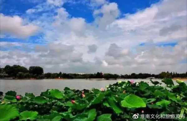 焦岗湖旅游攻略_畅游湖畔必知秘籍