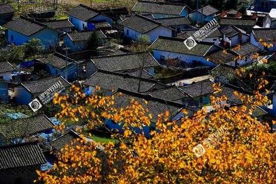石棉栗子坪旅游攻略_最佳游玩时间与活动推荐