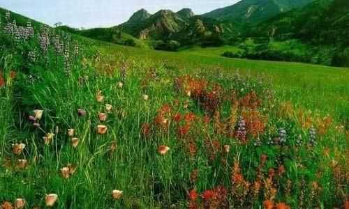神田草原旅游攻略_自由行必备指南