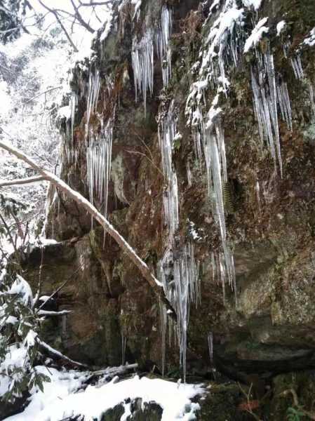 神雾山旅游攻略_必看景点与活动推荐
