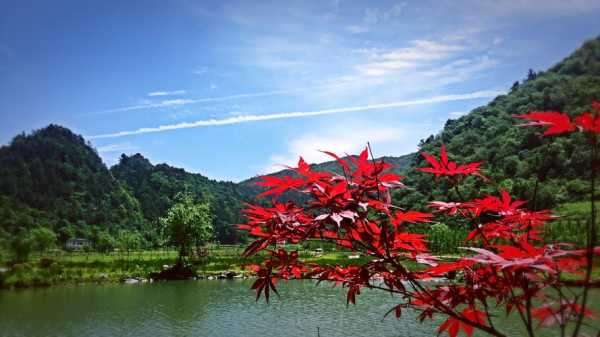 綦江花坝旅游度攻略_畅享自然与文化之美