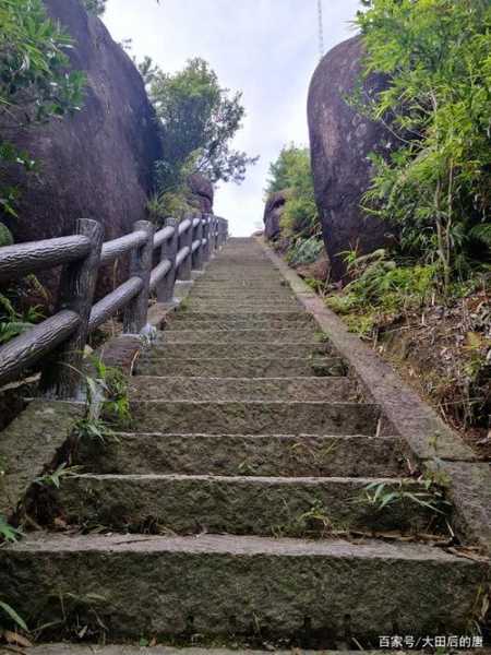苍南玉苍山旅游攻略_畅游必备小贴士