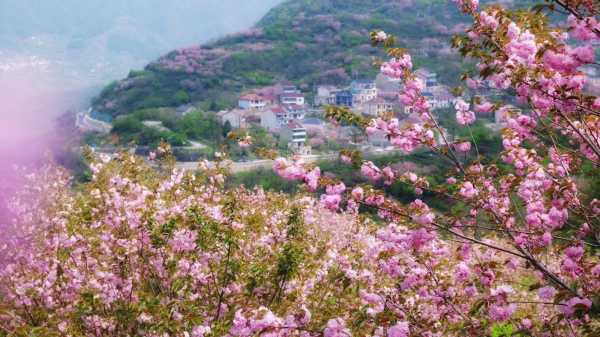 覆卮山旅游攻略_最佳游玩时间与必去景点