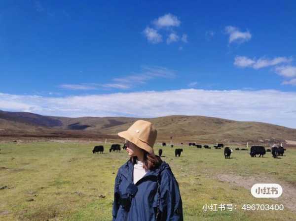 诺尔盖天气旅游攻略_最佳出行时间与注意事项