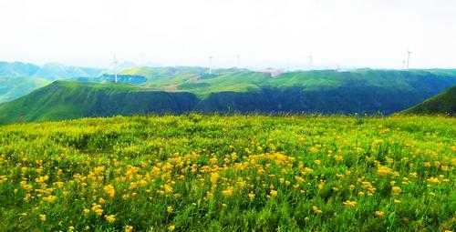 赫章小韭菜坪旅游攻略_玩转自然美景与文化体验
