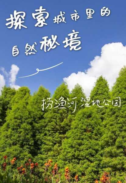 轮岛旅游攻略_探索秘境与美食之旅