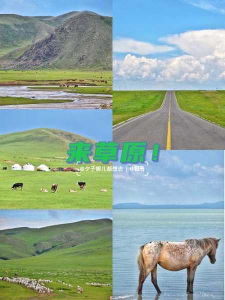 达达线旅游攻略_必知的旅行小贴士