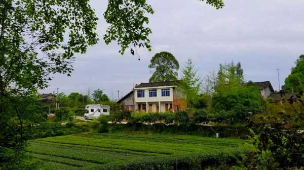 长滩湖旅游攻略_最佳游玩时间与注意事项