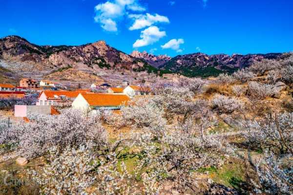 青岛棉花村旅游攻略_畅游这个隐藏的美丽村落
