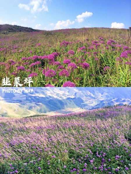 韭菜坪旅游攻略_玩转韭菜坪的必备技巧
