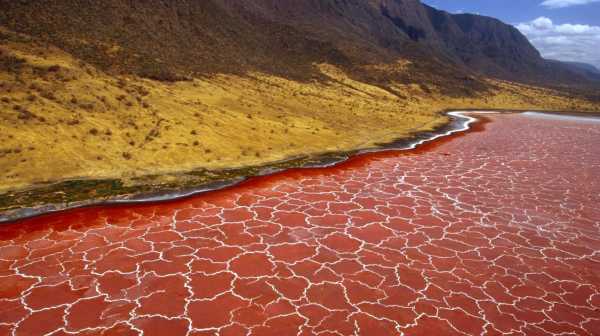 lake natron_为什么它被称为“死亡湖”?