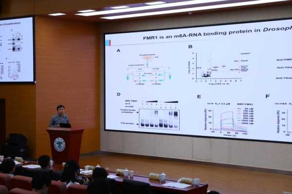 wakeforest_探索校园生活与学术机会