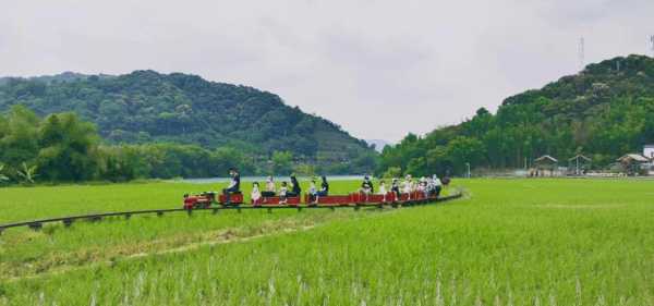 从化田心农庄_探索乡村游的最佳选择