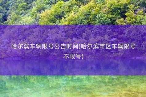 哈尔滨最新限号_如何影响你的出行计划?