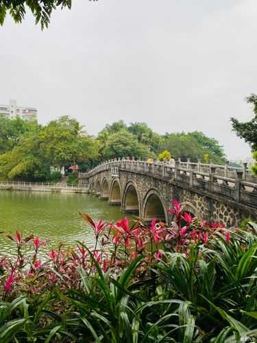 寸金桥公园_探索隐藏的自然之美