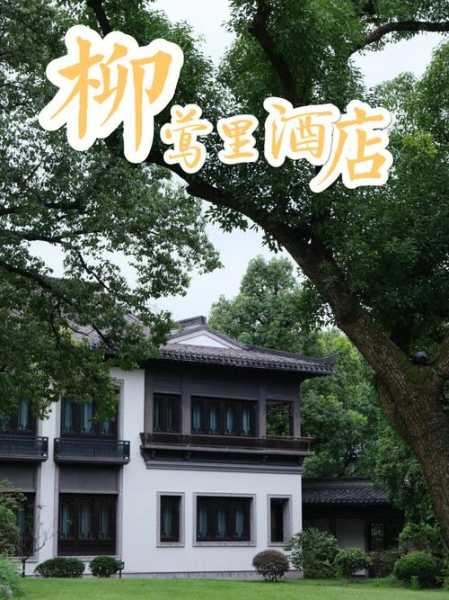 杭州柳莺宾馆_舒适住宿体验分享