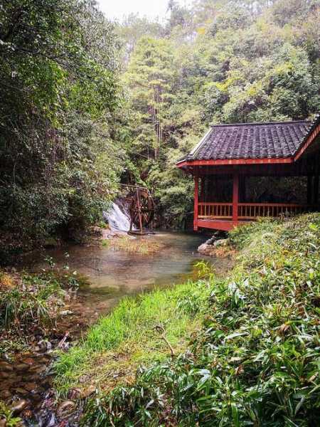 武夷山青竹山庄_探寻自然与宁静的完美结合