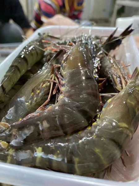 满满海鲜_如何选择新鲜美味的海鲜?