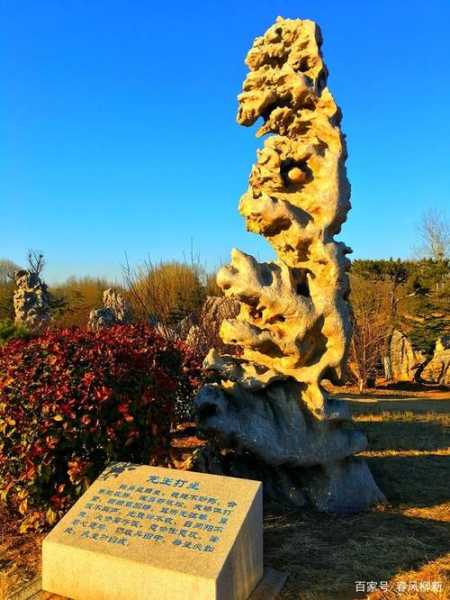 石博园_探索独特的石文化魅力