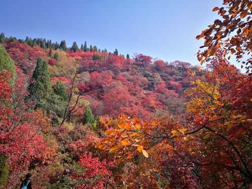 章丘旅游景点大全_畅游魅力山东必去之地
