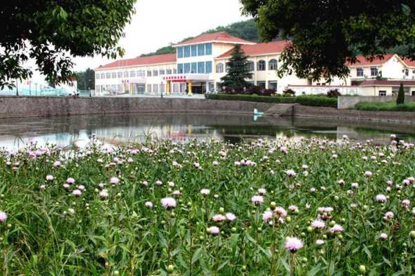 金水湾度假村_究竟有哪些特色与体验?