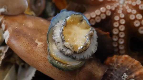 釜山料理_探索韩国海鲜美食的秘密