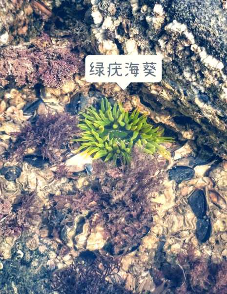 东戴河址锚湾天气_今日天气预报和旅游建议