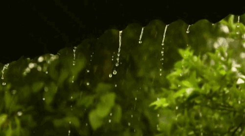 攀枝花渔门天气_今日气温与预报动态