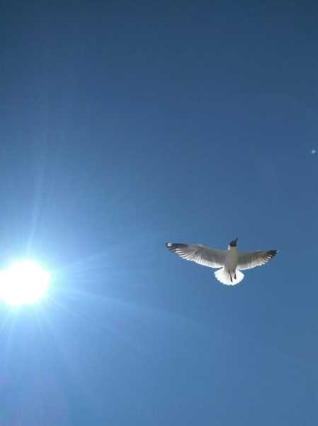 泉吉乡天气预报_今天的气温和降水情况如何?