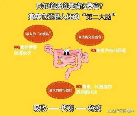 益力多肠道天气_如何影响你的肠道健康?