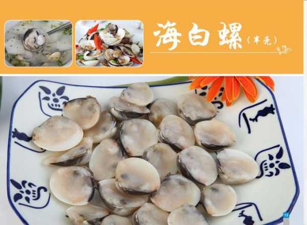海白螺_如何选择与烹饪技巧