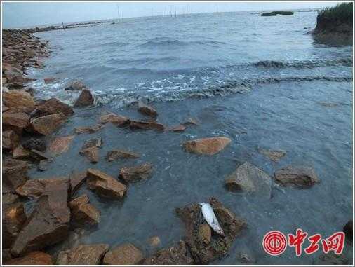 燕尾港镇_探索这个隐藏的海滨宝藏