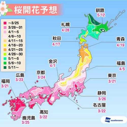 3月日本大阪旅游攻略, 玩转樱花季的完美行程