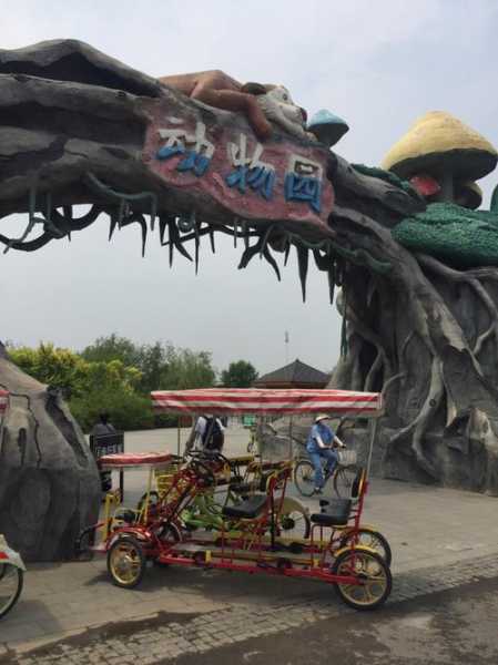 光合谷旅游攻略, 如何规划完美旅行?