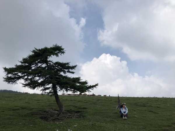 北京到芦芽山旅游攻略, 让你的旅程更加顺畅!