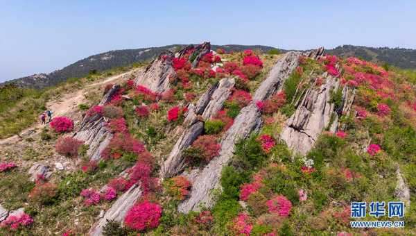 双峰山旅游攻略,必看游玩技巧和建议