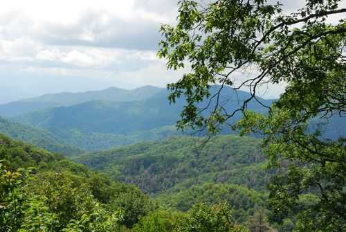 大雾山旅游攻略, 如何玩转这个神秘景点?