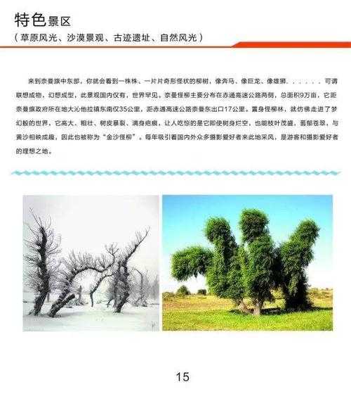 奈曼旅游攻略, 适合初次游玩的必备指南