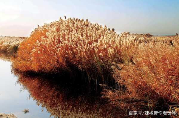 巴盟旅游攻略, 探索这块神秘的草原天堂