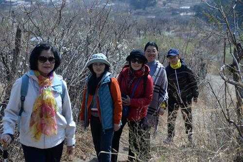 康陵村旅游攻略, 探索隐藏的自然与文化之美