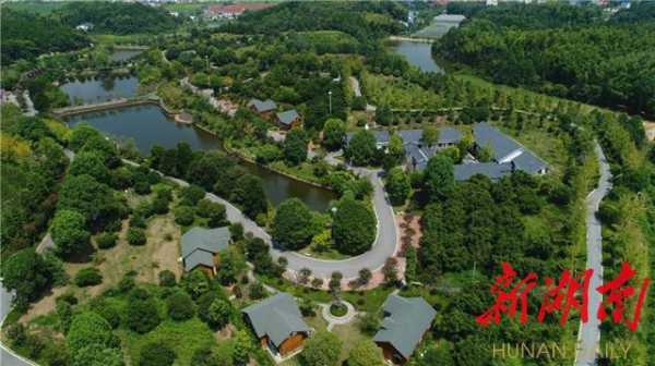 开慧镇旅游攻略,怎么玩才最有趣?