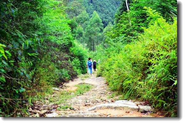 恩平七星坑旅游攻略, 探索自然奇观与当地风俗