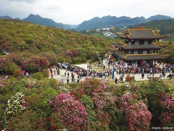 成都到米易旅游攻略, 玩转米易必知小贴士