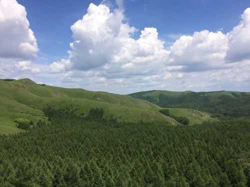 松坝旅游攻略, 必备的游玩秘籍与注意事项