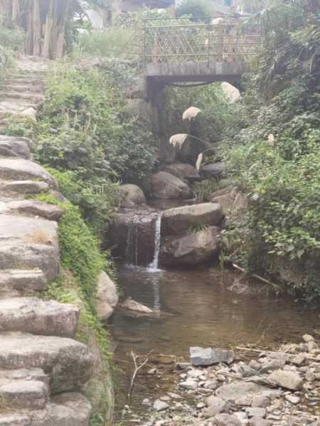 桐庐戴家山旅游攻略, 游玩必备技巧与景点推荐