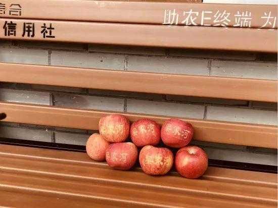 梁家河旅游攻略, 如何尽享这片美丽乡村？