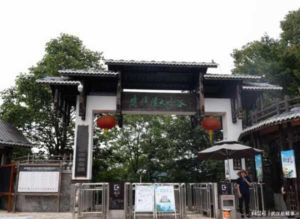 武汉到柴埠溪旅游攻略, 必知的小贴士与景点推荐
