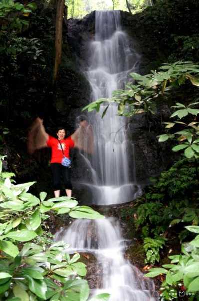 江山龙井村旅游攻略, 奇妙自然与人文体验之旅