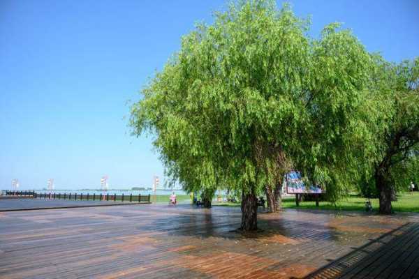 洪泽湖大堤旅游攻略,怎么玩才最尽兴？