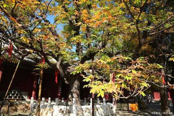 浮来山旅游攻略,玩转浮来山的必备小贴士